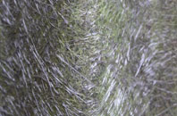 Scardans fibreglass roof work